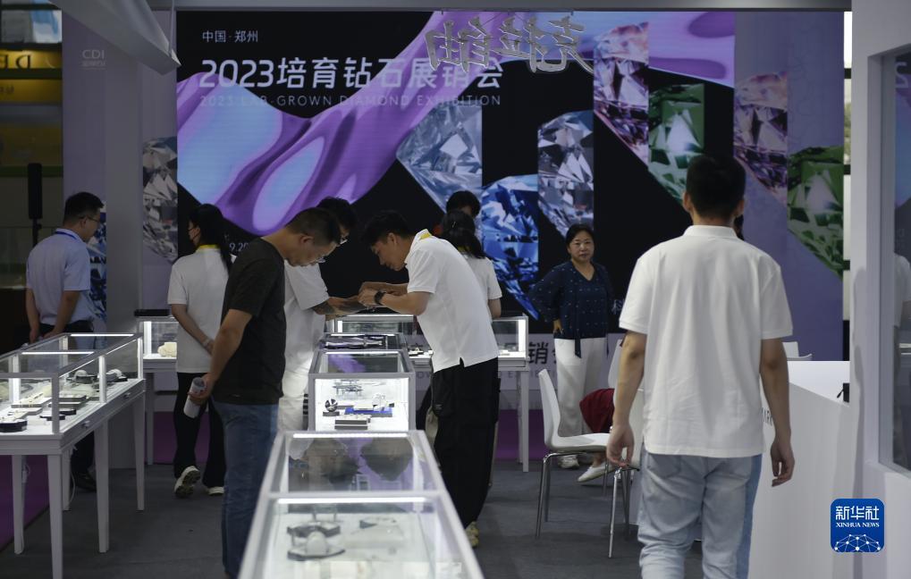 五龙争霸下载